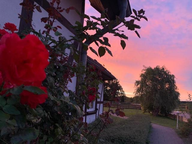 Landhotel Rosenhof Garni Am Plauer See Mit Ladesaeule Fuer E-Autos Quetzin Exteriör bild
